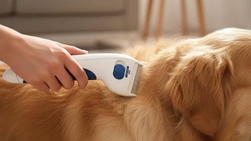 Cepillo Eléctrico Mata Pulgas